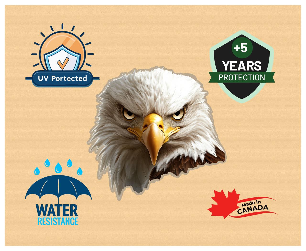Here are a few options for alt text, keeping under 100 characters:
* **Two dogs & eagle sticker peek from truck bed.**
* **D