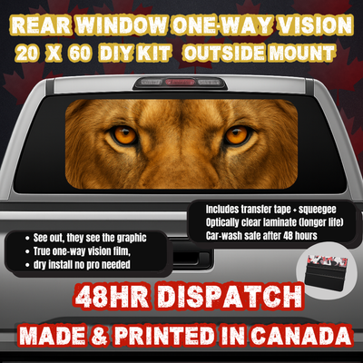 Lion — Savannah Gold Eyes Strip Rear Window Decal (20×60 OWV, Outside Mount)