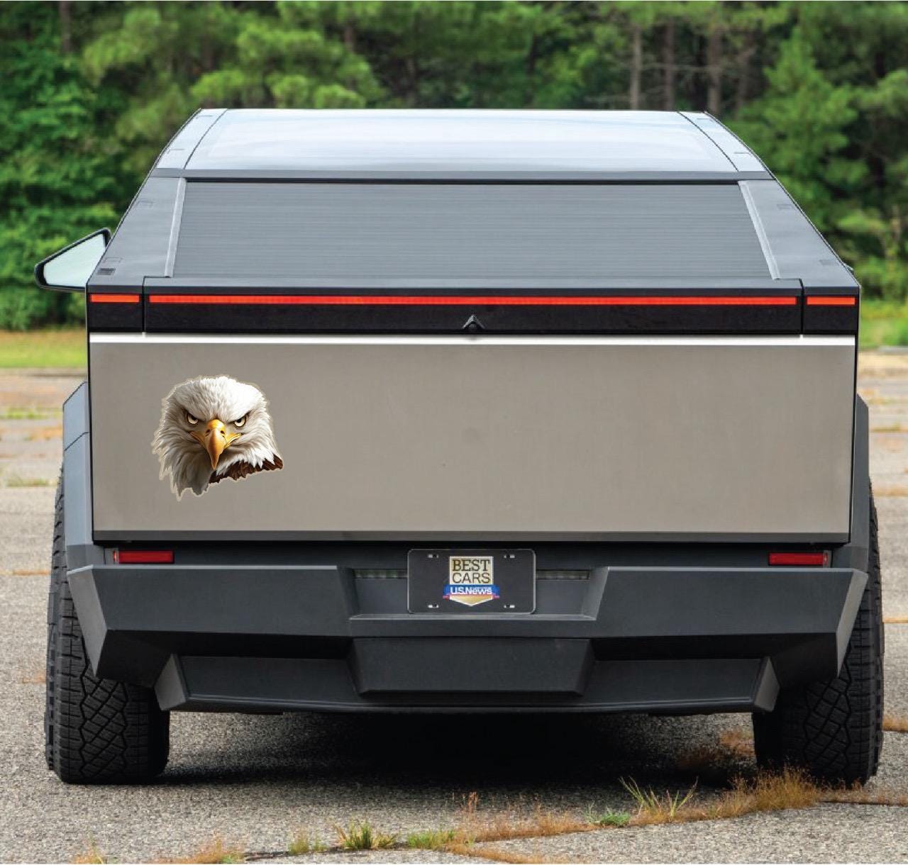 Here are a few options for alt text, keeping under 100 characters:
* **Two dogs & eagle sticker peek from truck bed.**
* **D
