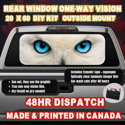 Snowy Owl — Arctic Blue Eyes Strip Rear Window Decal (20×60 OWV, Outside Mount)