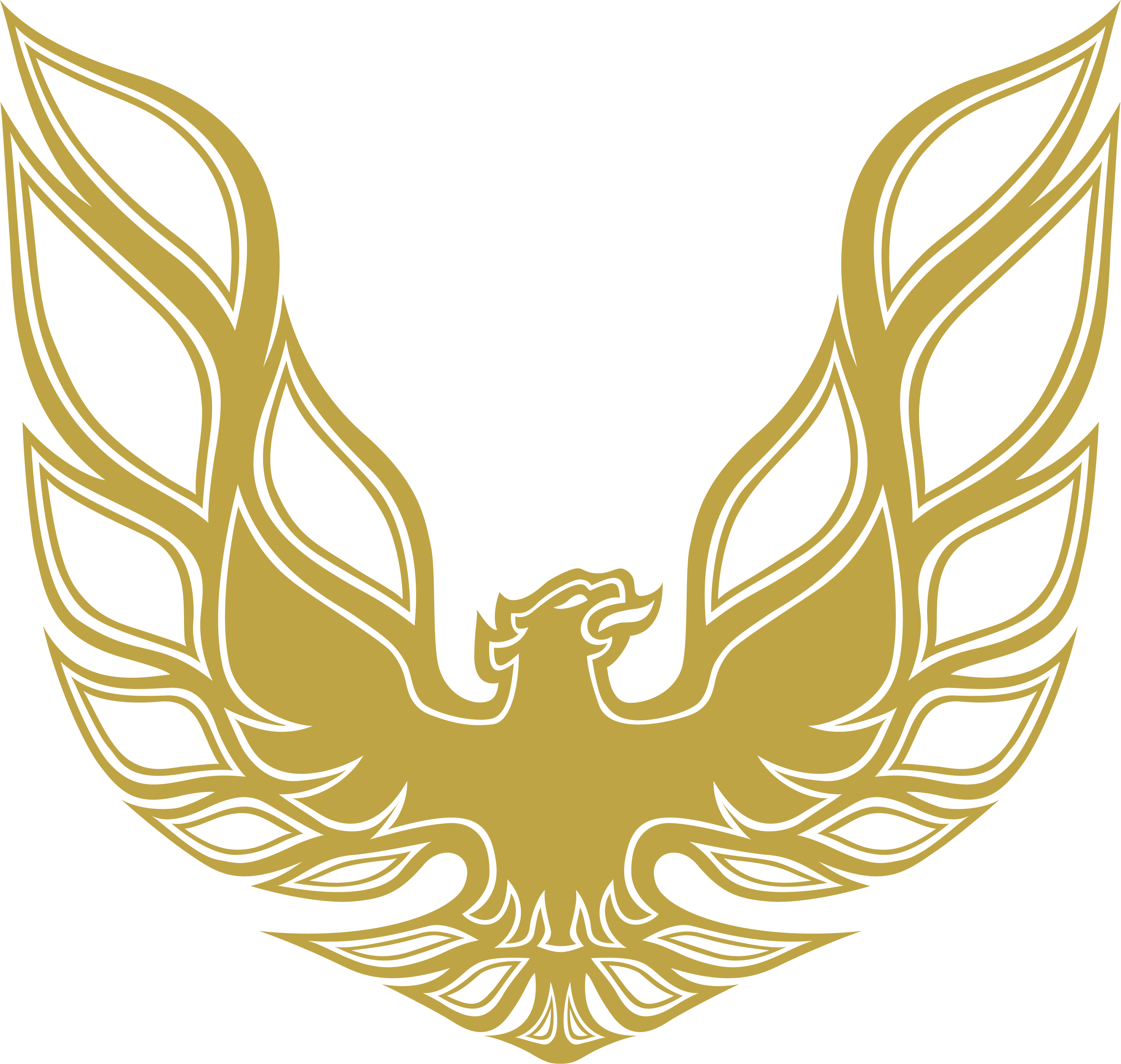 Phoenix Firebird Car Decals Canada | Trans Am Style | Classic Muscle Niagara Stands Out