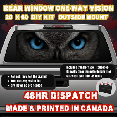 Owl — Dark Gray Eyes Strip Rear Window Decal (20×60 OWV, Outside Mount)