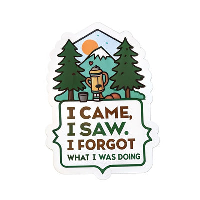 I Came, I Saw, I Forgot What I Was Doing